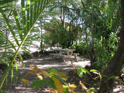 Hotel Crab Claw Island Bynoe Harbour Esterno foto